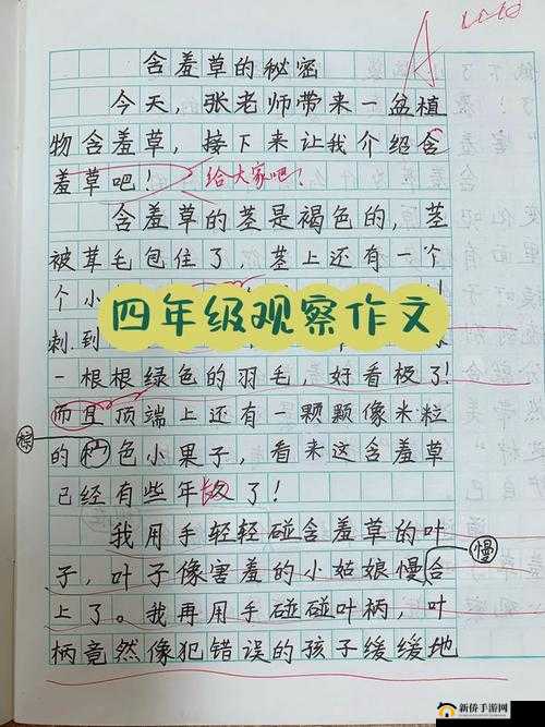含羞草实验所隐藏的 2024 背后究竟隐藏着怎样的秘密