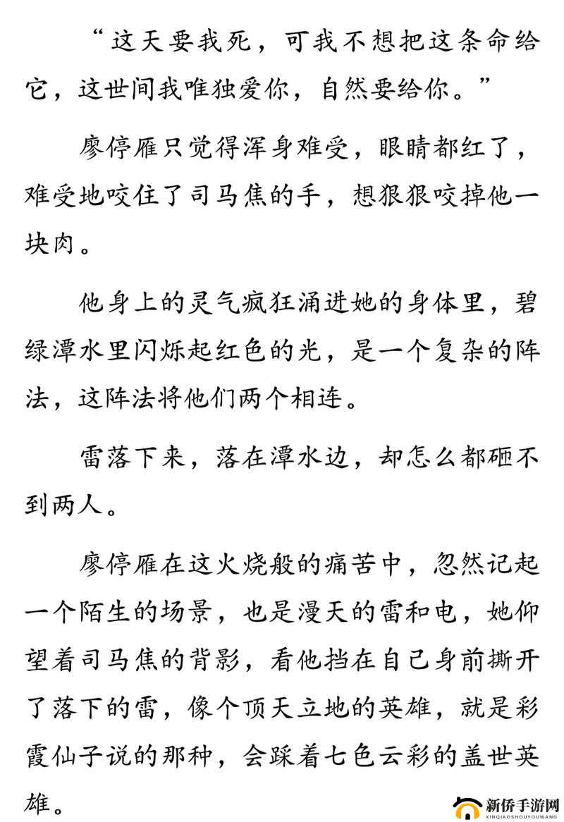 人与兽乂乂乂乂：超越物种的爱与纠葛