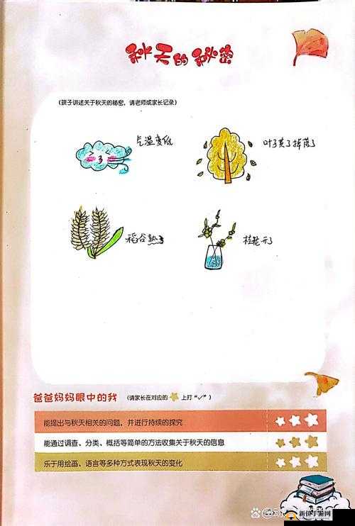 成长的秘密：柔柔观察分析的独特视角与发现