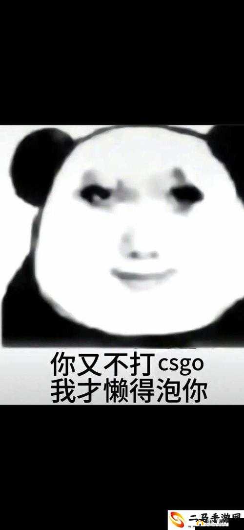 暴躁老姐的 csgo 心得分享视频热度超高：教你成为游戏大神