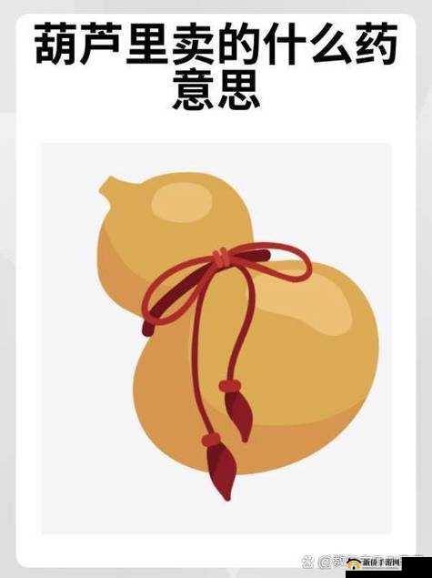 hlw32life 葫芦里不卖药：一个独特且有趣的存在