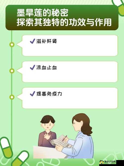 www.wuyevt 相关内容的独特解读与探索