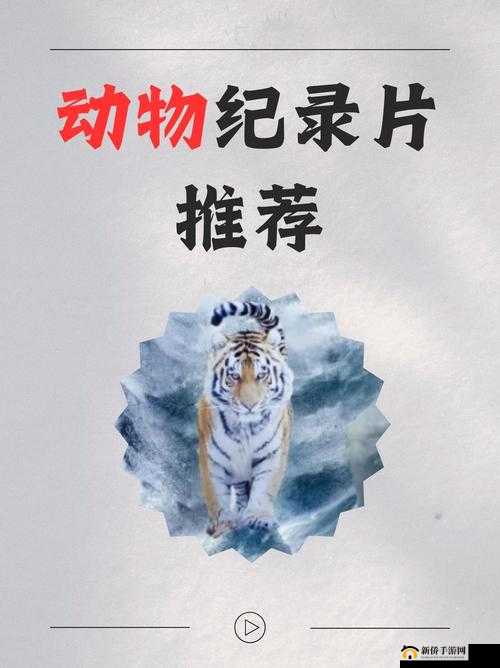 43417 大但人文：探索其背后丰富深刻的内涵意义