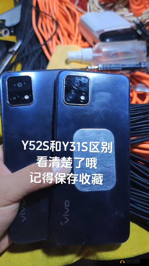 一级成色好的 y31s 标准版价格：详细介绍与市场分析