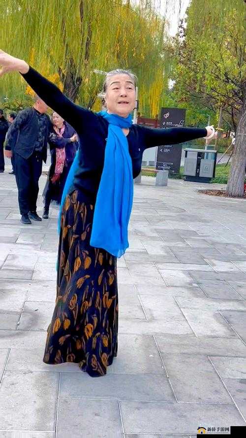 震撼心灵老太太的惊人舞姿：BGMBGM 音乐下的独特魅力