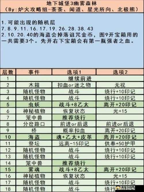 地下城堡3魂之诗阿德尔莎玛高难度BOSS搭配阵容与详细玩法深度解析