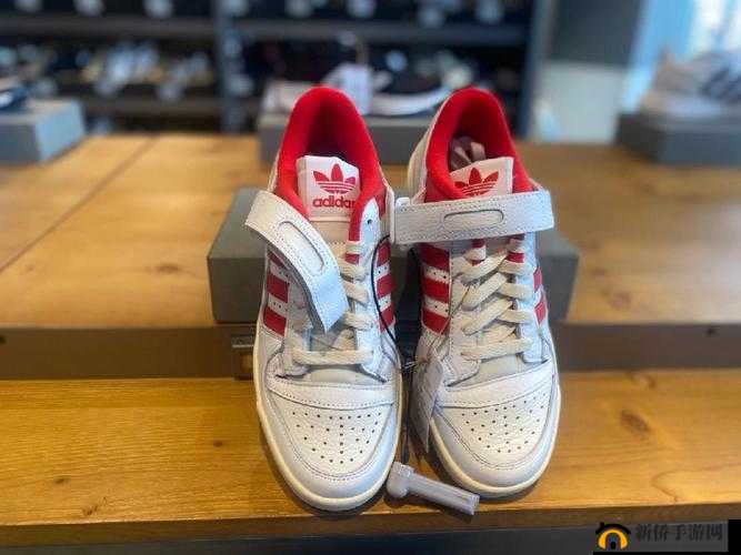 三叶草 gy3876 带来的独特魅力与惊喜