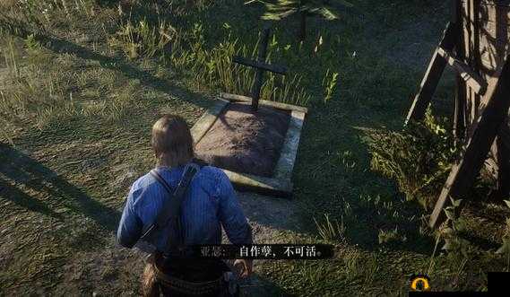 暴躁大妈荒野大镖客：在西部荒野中的传奇冒险之旅