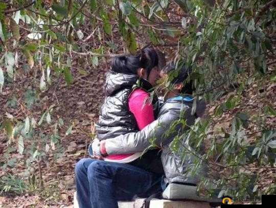 男女疯狂爱爱片 AAA：探索激情与欲望的极限