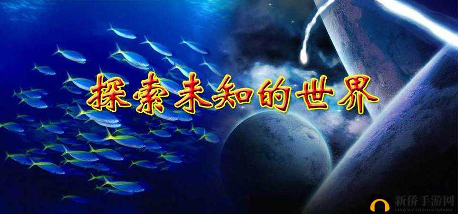 干 b 网：探索未知世界的精彩平台