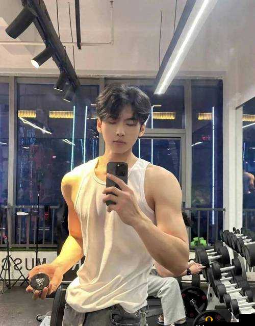 健身房里的秘密服务：探寻背后不为人知的故事与真相