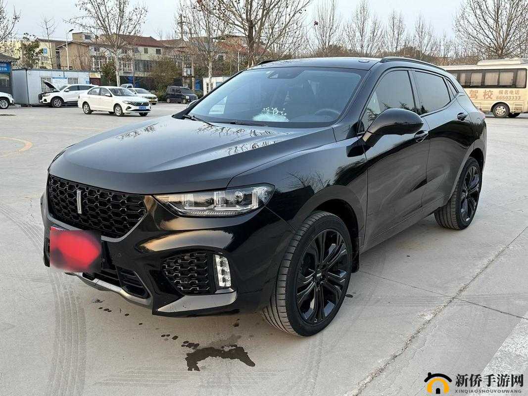 Wey-VV5 国产的 SUV：畅享舒适驾乘的智能出行伙伴