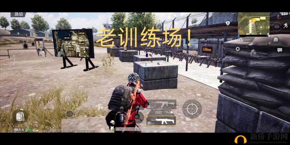 B站刺激战场视频 2024：精彩刺激战场之旅全记录