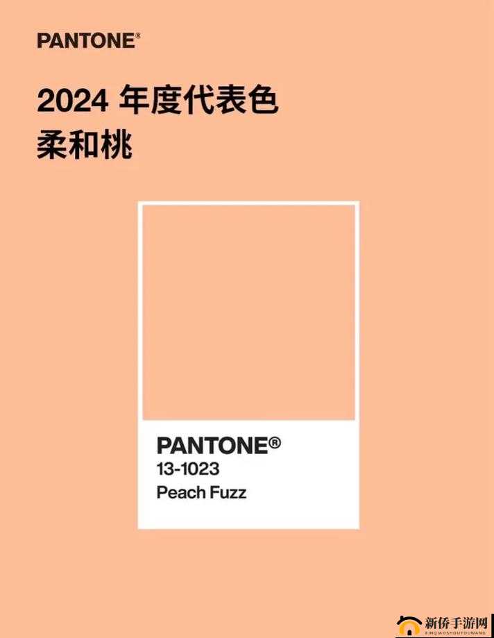 水蜜桃色 314：独具魅力的色彩与无尽的可能