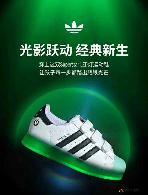 三叶草 gy3876：探索未知的神奇之旅