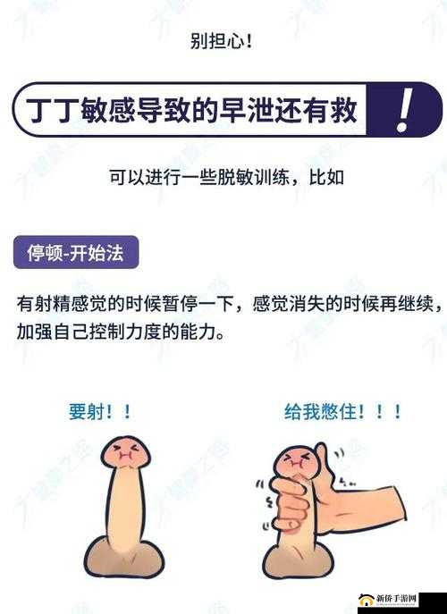 降低龟敏度的小窍门：实用有效的日常训练方法