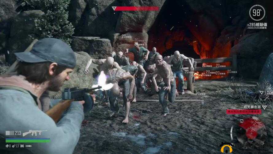 往日不再游戏深度攻略，应对尸潮的生存者终极挑战策略