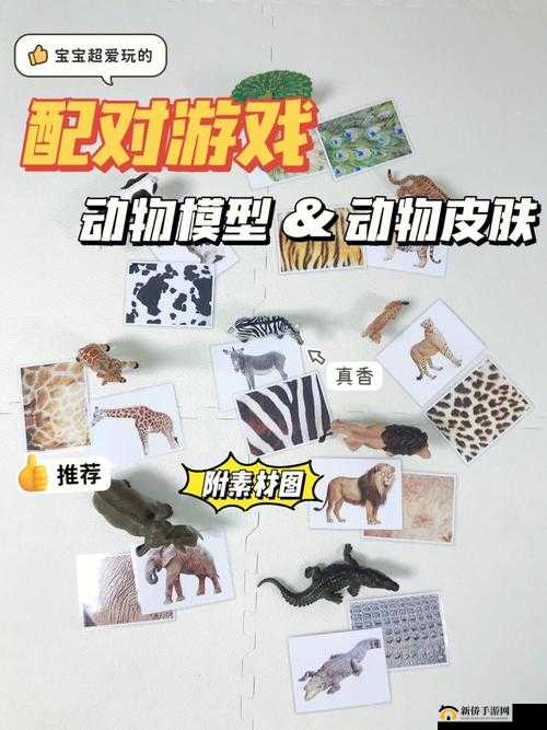 如何下载人物动物互动高清视频素材？
