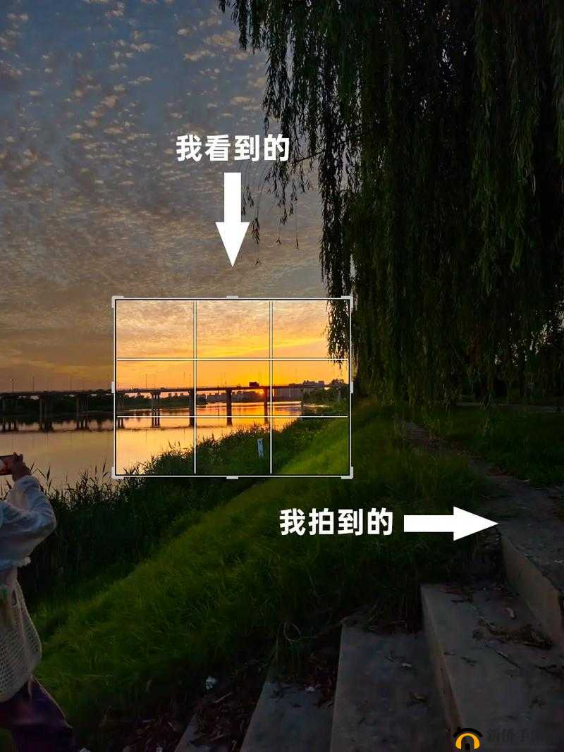 解锁新视角观察生活细节，通过画面仔细对比发现隐藏之美，迎接蛇年新春