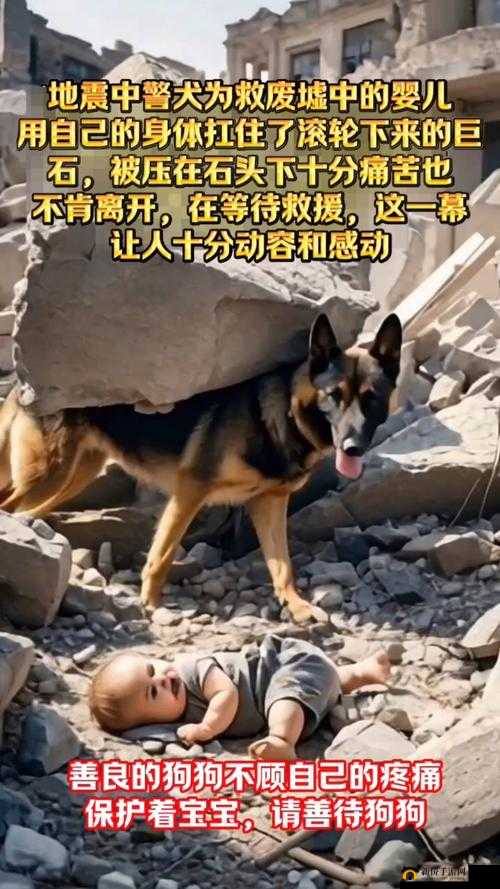 一人一狗卡住 6 小时，救援刻不容缓