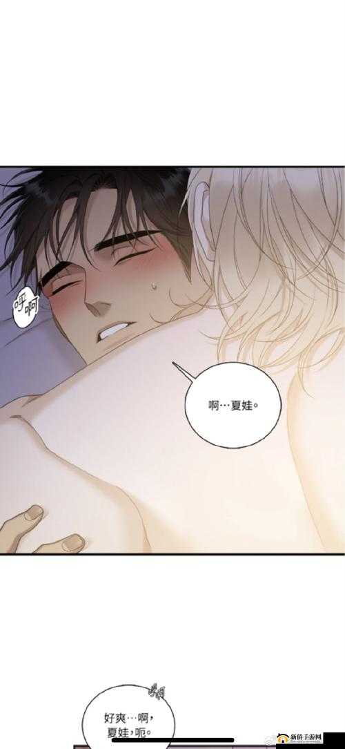 歪歪汗汗嘿咻羞羞漫画作者的独特创作之旅