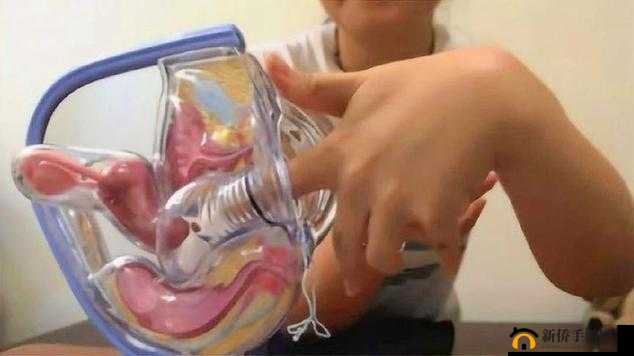 女流氓：坤巴的舔食者