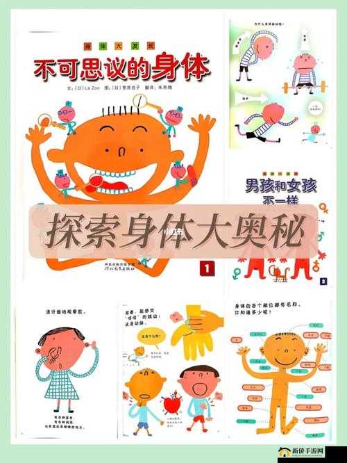 探索西西 114 人体的奥秘与价值