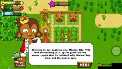 猴子小镇，2025蛇年新春的智慧与策略奇妙探索之旅