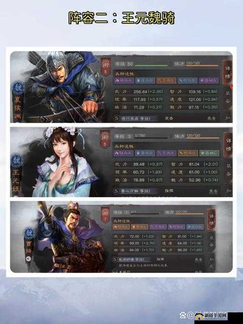 三国志战略版深度解析，王元姬全方位攻略及详细介绍一览