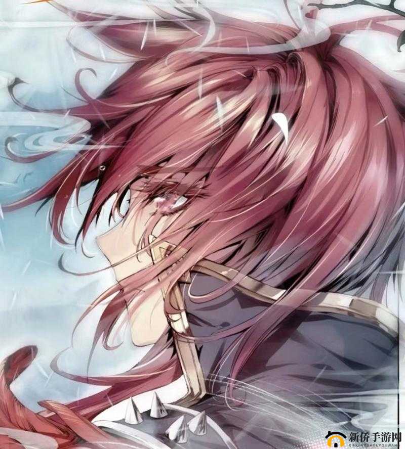 马红俊邪神传承银雪 29：一段惊心动魄的传奇之旅