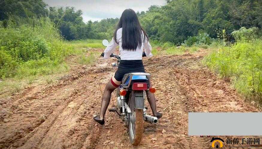 野生野外做受又硬又粗又大视频公交车：震撼大自然的狂野之旅