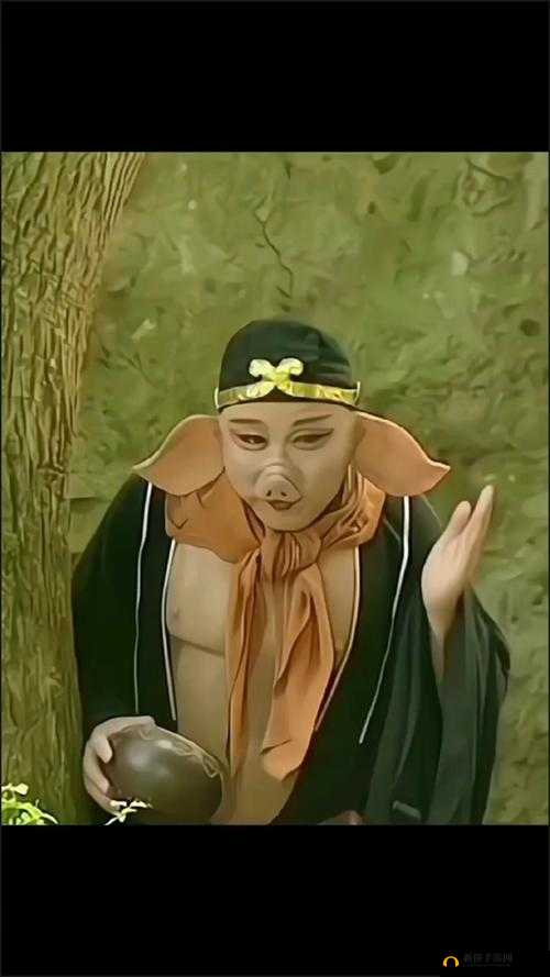 八戒八戒观看免费高清视频：带你领略精彩世界