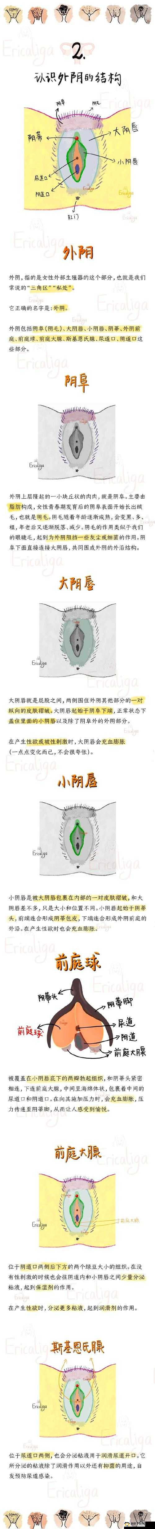 关于完整性妇 XXⅩXXXJAPP 的独特探索与解读