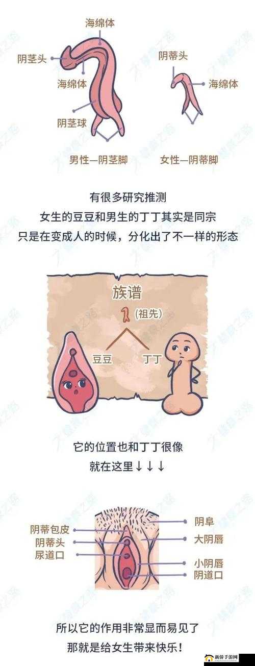 关于那颗小豆豆，你可能不知道的 8 件事