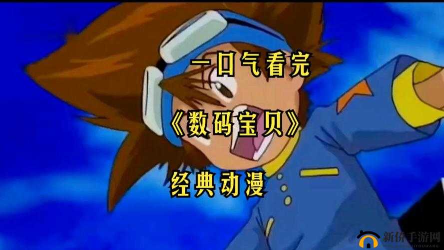 数码宝贝数码岛，全面解析正确开启方法与攻略指南