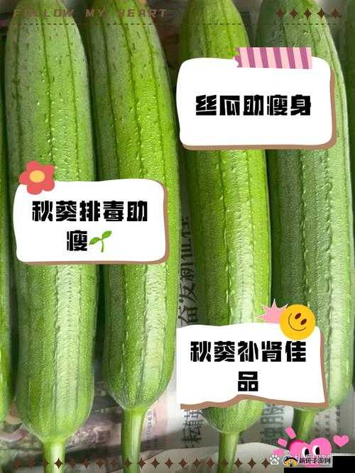 绿巨人秋葵黄瓜榴莲丝瓜：丰富蔬果带来的多样滋味与营养