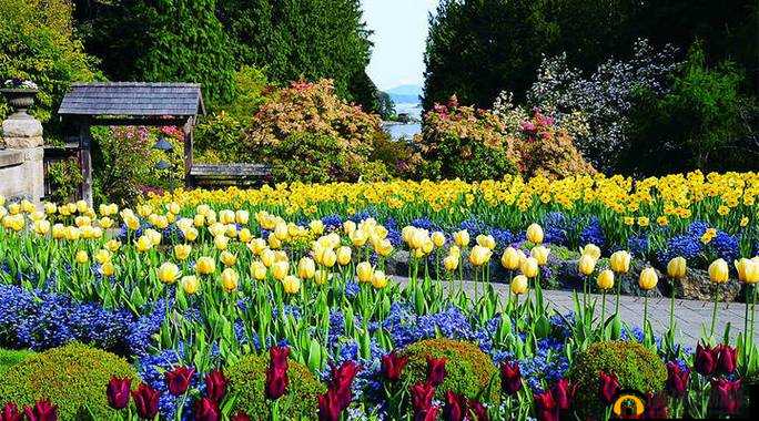樱花绽放的小镇中隐藏的大酒店秘密花园探秘之旅