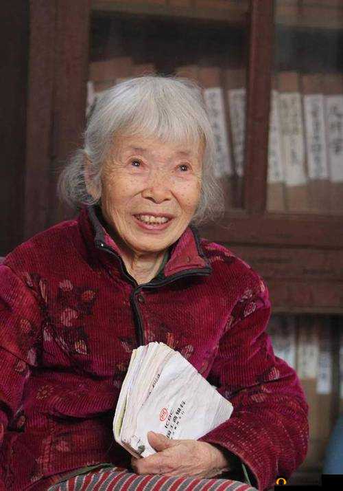 中国老太太 WBBHD：一个跨越时代的传奇