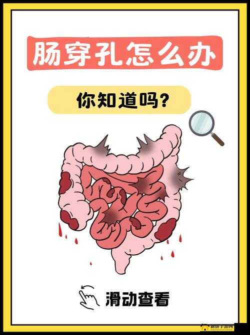 关于小洞需要大肉肠所指含义的深入探讨