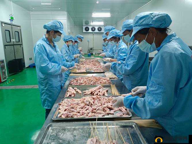 以国精产品 999 国精产品官网免费为中心：探寻官网免费背后的秘密