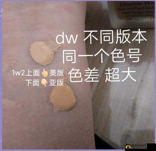 990v6 美版和亚洲版区别：深入剖析与全面对比