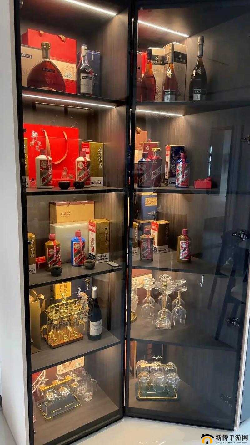 红酒与酒杯的激情碰撞：别到红酒了，1V2 装不下了