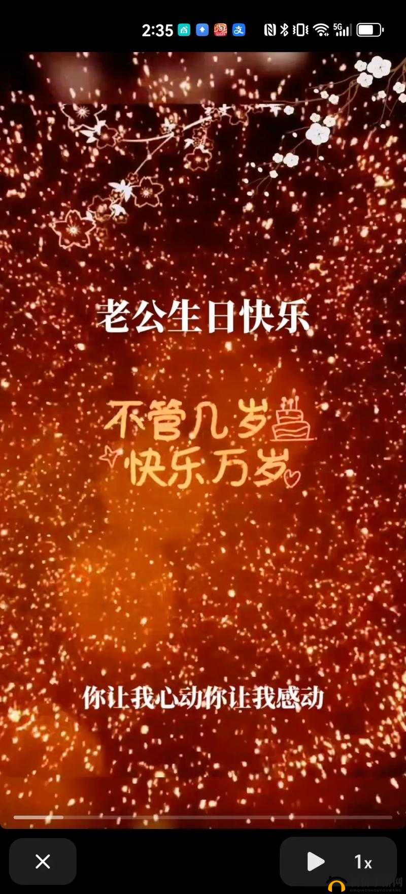 老公生日：3Q 花落归途，一场特殊的生日之旅