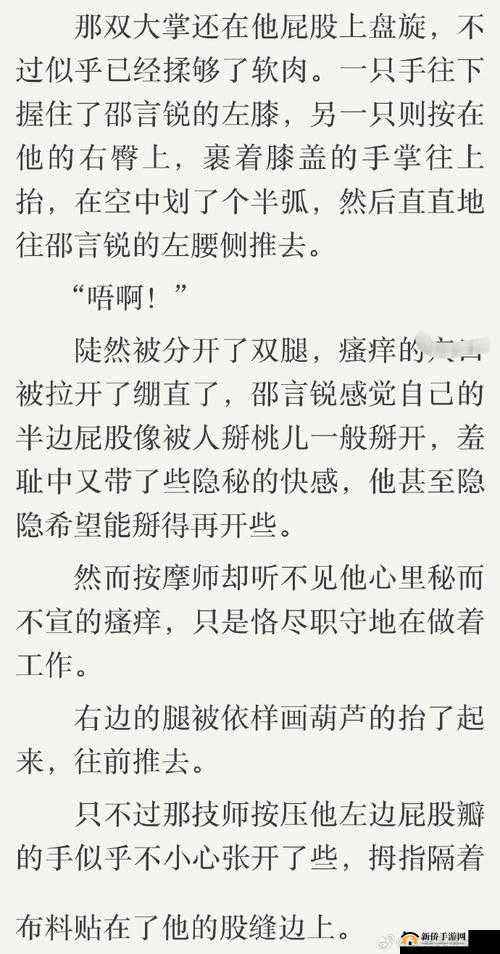 深度按摩鸦鸦吃肉不吃是素笔之详细解读与深入探讨