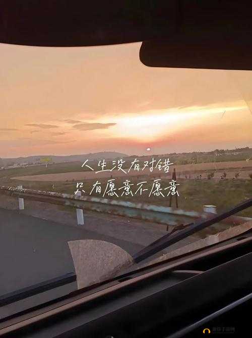 对着镜子把葡萄一粒粒然后思考人生的意义与价值