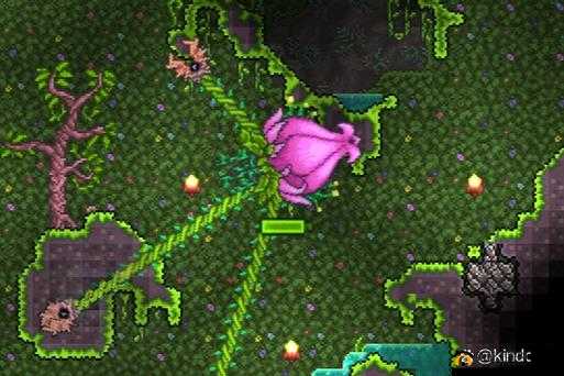 泰拉瑞亚世纪之花花苞出现条件是什么：详细解析与探索