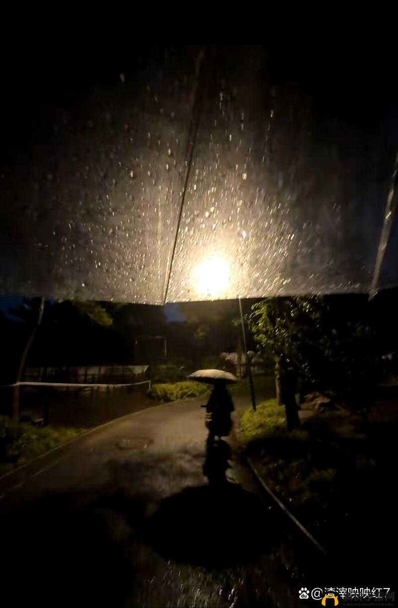 你晚上在多个场景中使用了小雨伞