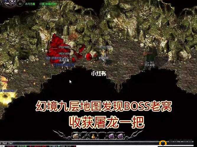 幻境公主公会BOSS挑战，深入解析挑战策略与致胜技巧详解