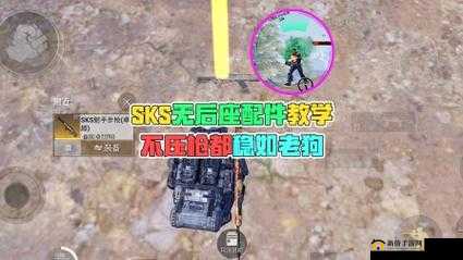 和平精英游戏深度解析，SKS射手步枪使用技巧、资源管理与价值最大化指南