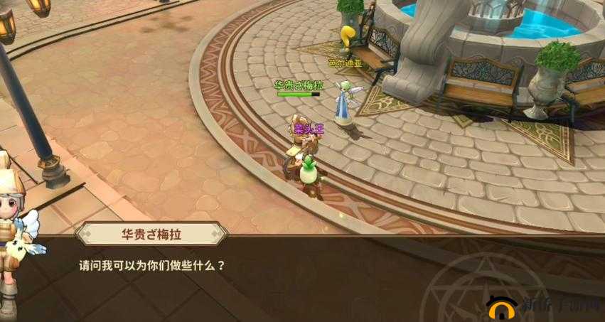 赛尔特大陆环形森林副本全攻略，掌握技巧，轻松通关环形森林